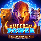Buffalo Power Related Game