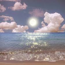 Ảnh đại diện người dùng Phạm Dũng